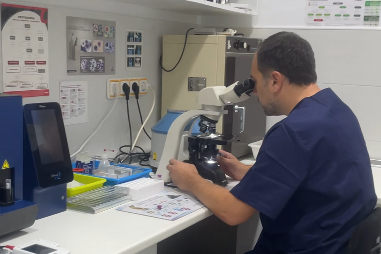 Diagnostico-de-laboratorio Diagnostico de laboratorio